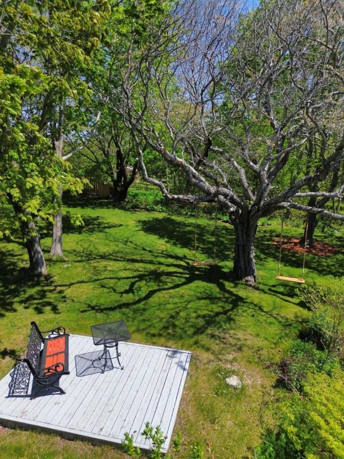 Belle View Manor Inn Harbour Grace Ngoại thất bức ảnh