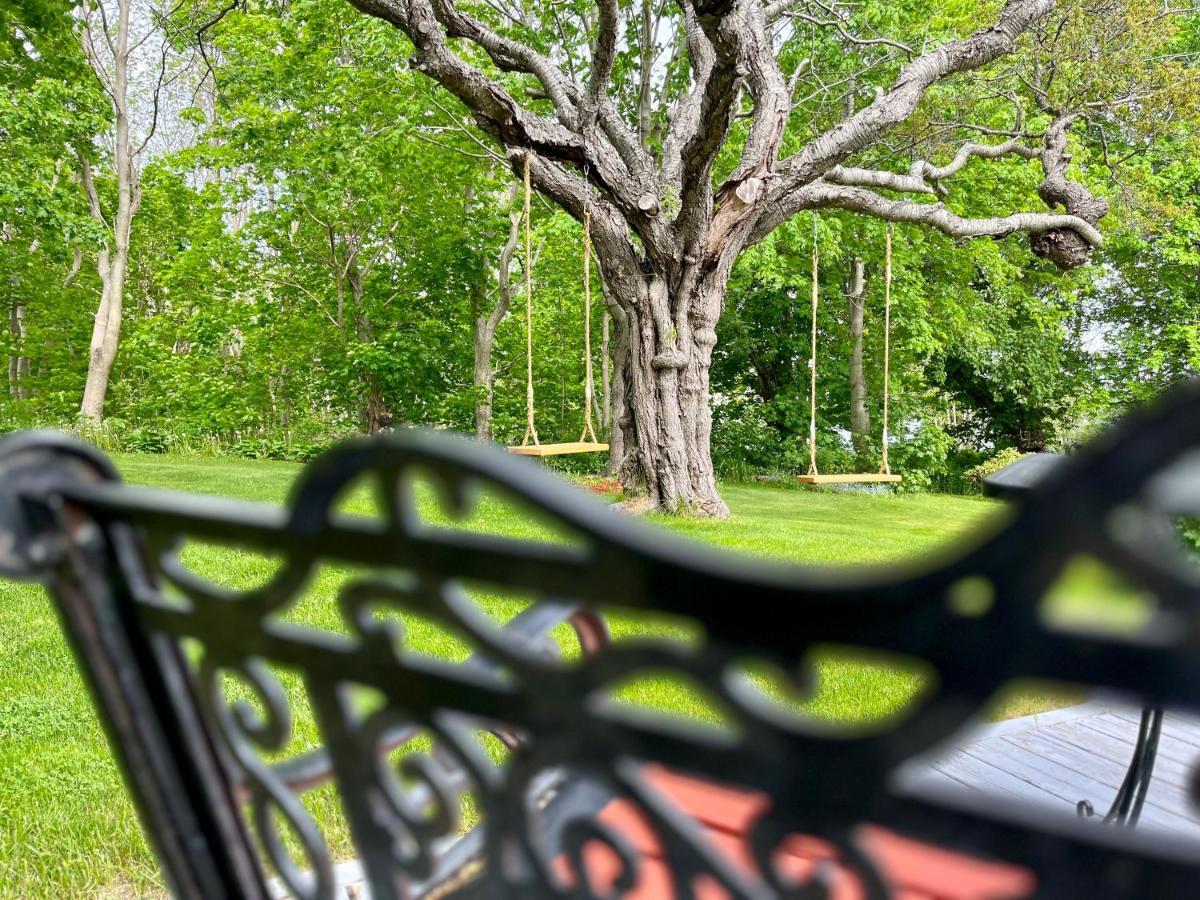 Belle View Manor Inn Harbour Grace Ngoại thất bức ảnh